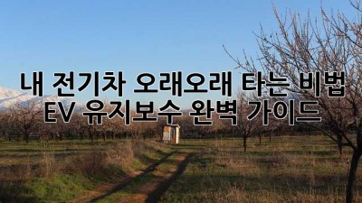 내 전기차, 오래오래 타는 비법! EV 유지보수 완벽 가이드